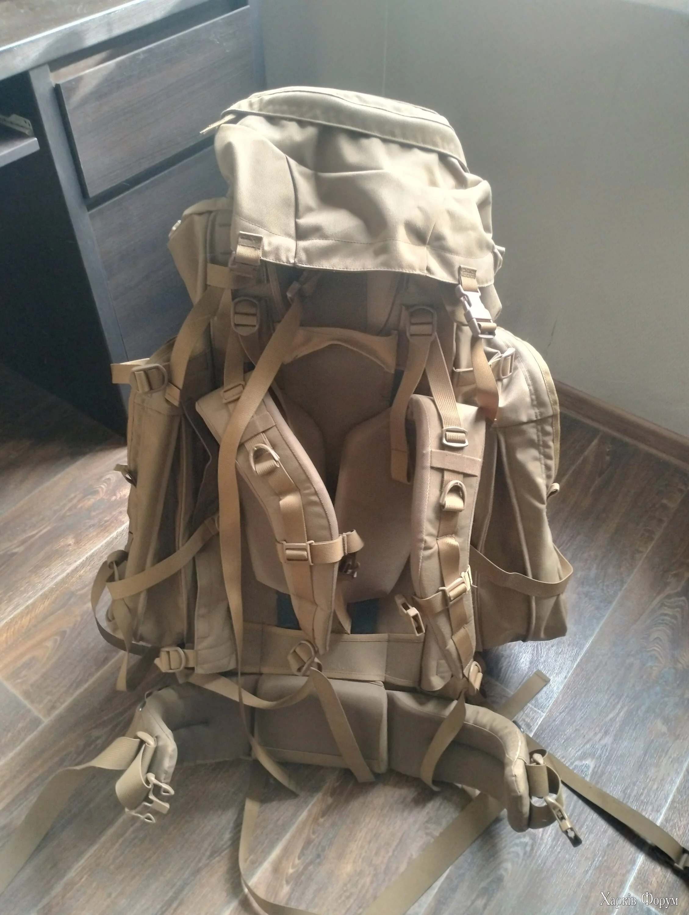 IMG_20241024_151220638_HDR.webp
