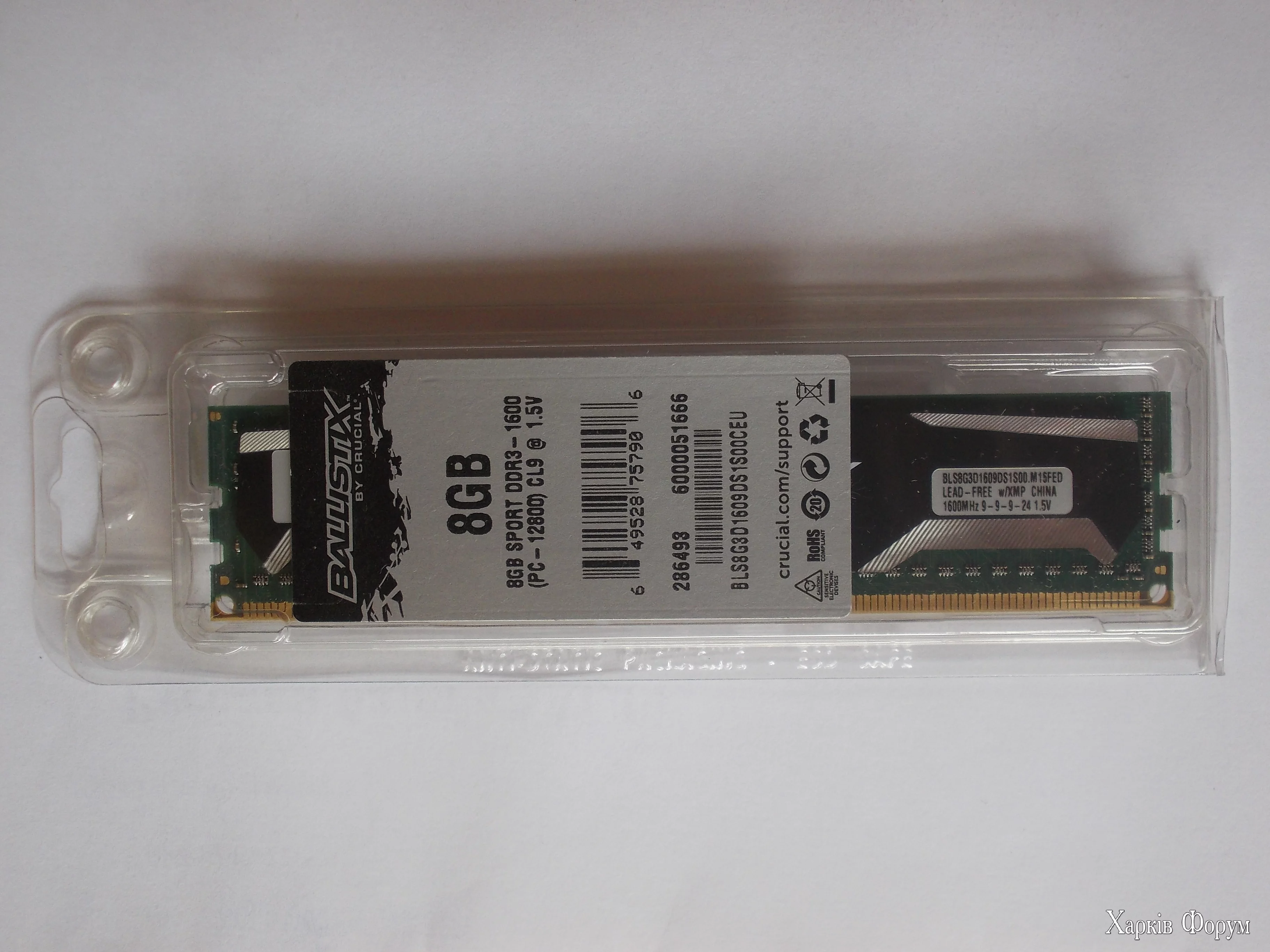 DSCN0001.webp