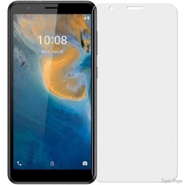 zakhisna-gidrogeleva-plivka-dm-dlya-zte-blade-a31-matova.jpg