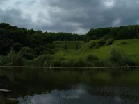 landscape.webp