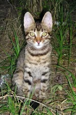 m3.webp