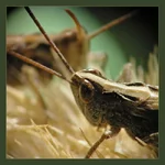 photo1.webp