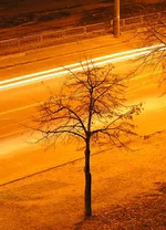 P1010002-11.webp