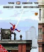 spider.webp