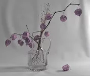 naturmorte3.webp