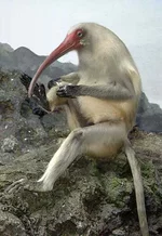 beakauseIwanna.webp