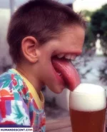 beer.webp