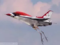 birdorplanecrazyMEDl0.webp