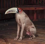 bringonthedancinghorses.webp
