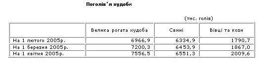3.webp