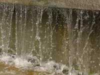 Resize of IMG_0937.webp