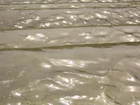 Resize of IMG_0942.webp