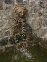 Resize of IMG_0945.webp