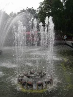 Resize of IMG_0965.webp