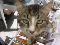 Resize of IMG_0399.webp