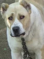 Resize of IMG_0442.webp