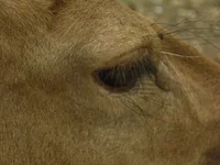 Resize of IMG_0919.webp