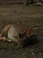 Resize of IMG_0922.webp