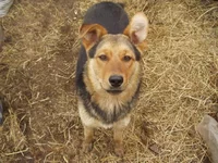 Resize of P1010044.webp