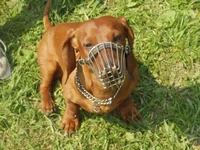 Resize of P1010151.webp