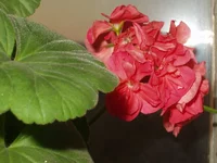 f_623118.webp