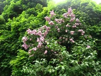 Resize of IMG_0957.webp