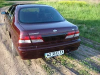 DSC01613.webp