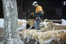 Image2001.webp