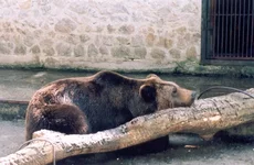 zoo1.jpg