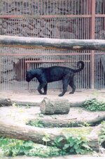 zoo3.jpg