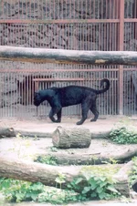 zoo3.webp