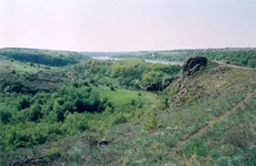 4ern25.webp