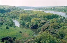 ki6inev5.webp