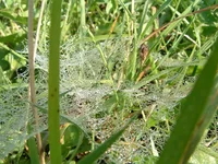 country_03.webp