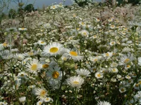 country_06.webp
