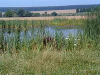country_10.webp
