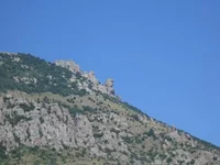 46.webp
