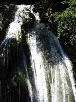 04.webp