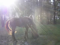 P8140103.webp