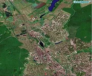 .webp