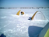 0206_111031X.webp
