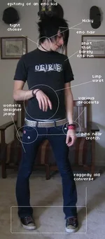 4.webp