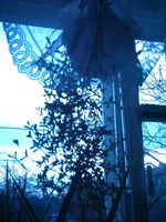 IMAG1050.webp