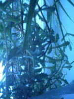 IMAG1051.webp