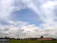 5f31.webp