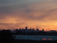 5f51.webp