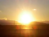 7998.webp