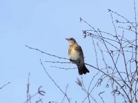 DSC05193_hf_hf.webp