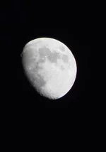 DSC00544.webp
