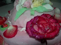  005m.webp